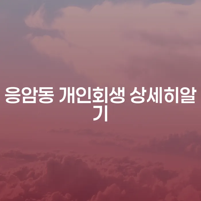 응암동 개인회생 상세히알기