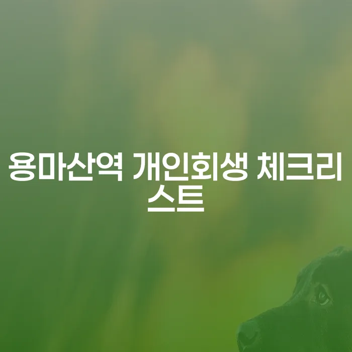 용마산역 개인회생 체크리스트
