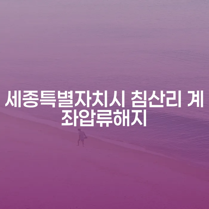 세종특별자치시 침산리 계좌압류해지, 어떻게 해결할 수 있을까요?