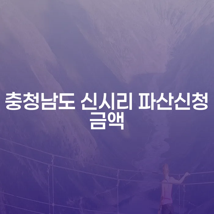 충청남도 신시리에서 파산 신청 금액은 어떻게 결정될까요?