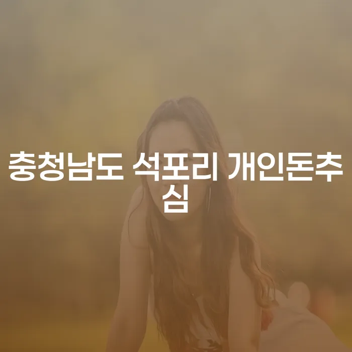 충청남도 석포리에서 개인돈추심의 어려움을 겪고 계신가요?