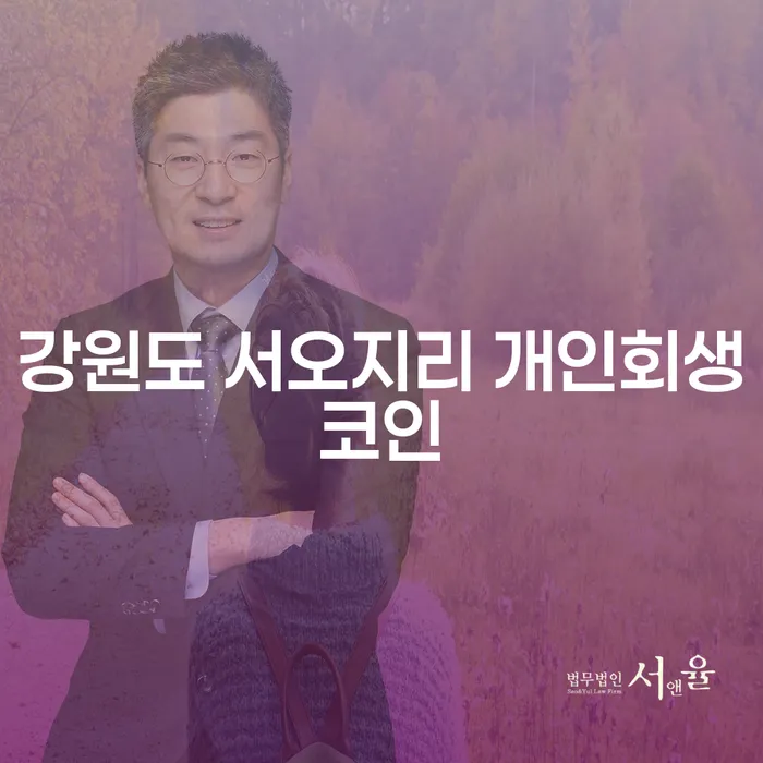 강원도 서오지리 개인회생코인, 당신의 채무 해결의 열쇠일까요?